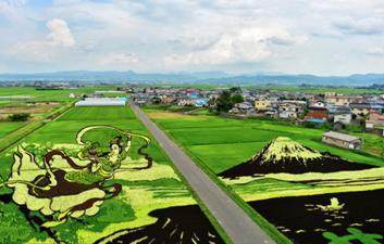 藝路向東李春林:大地藝術(shù),帶火了鄉(xiāng)村旅游