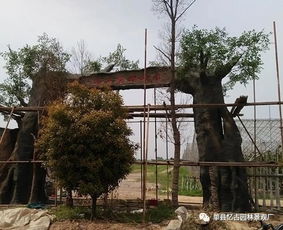 河南假樹(shù)大門的優(yōu)勢(shì),假樹(shù)大門的優(yōu)勢(shì)有哪些